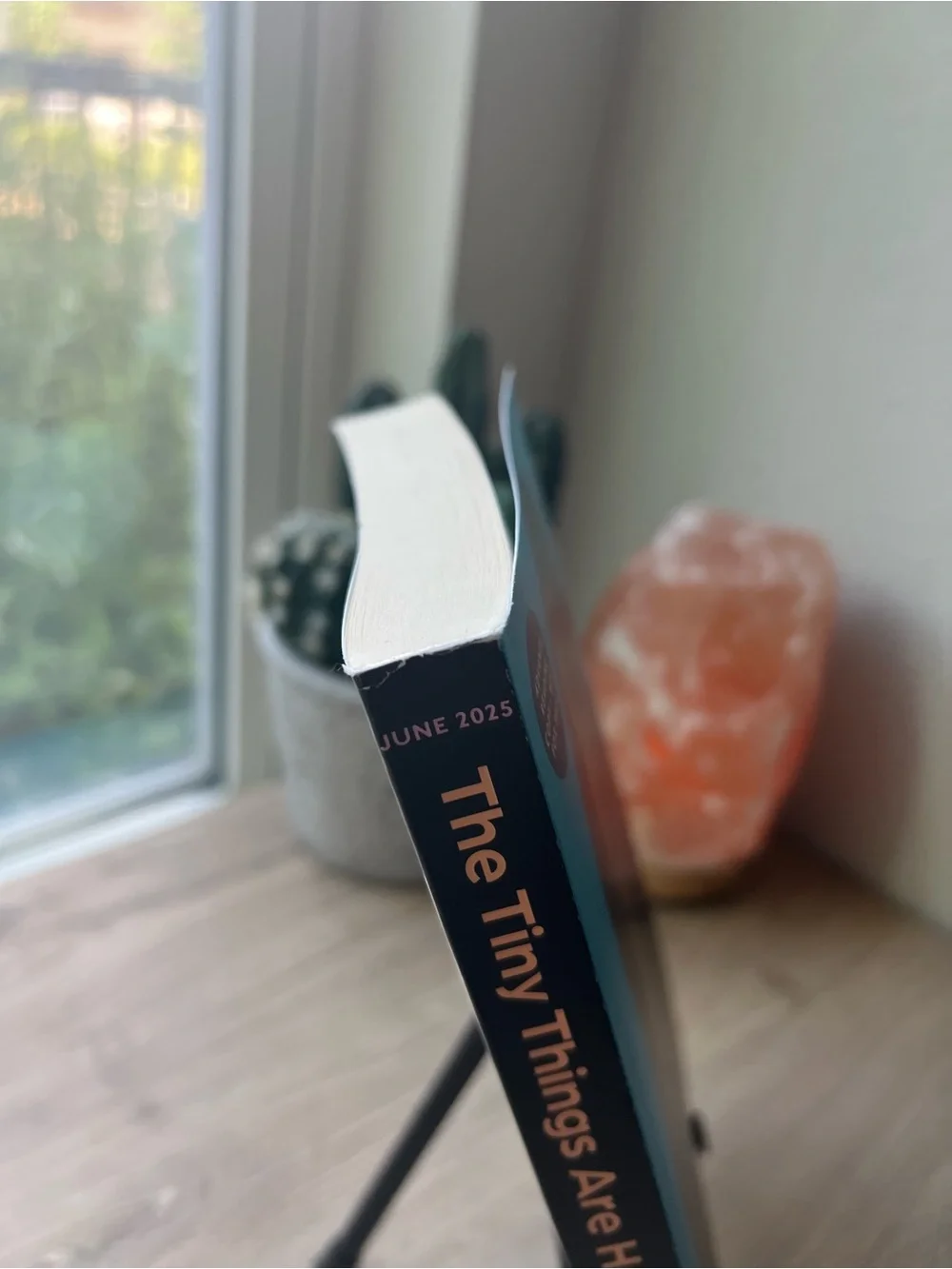 N/A 📚 tiny